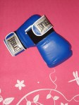 boxing gloves 003