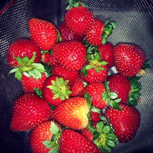 One favorite you'll always find in my fridge!