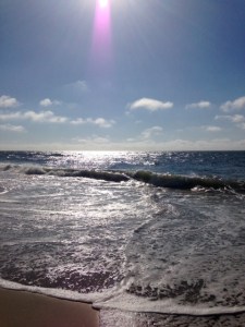 Keep Your Summer Memories Alive!