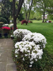 'Tis the season for sneezin'!